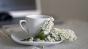 10. PE-Lean Coffee – Sehen wir uns beim Frühlingskaffee?